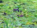 04 07 16_8693_edited-2